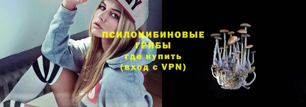 прущий лед Михайлов