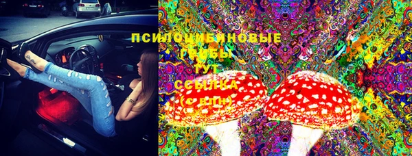 прущий лед Михайлов