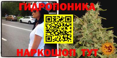 каннабис Аргун