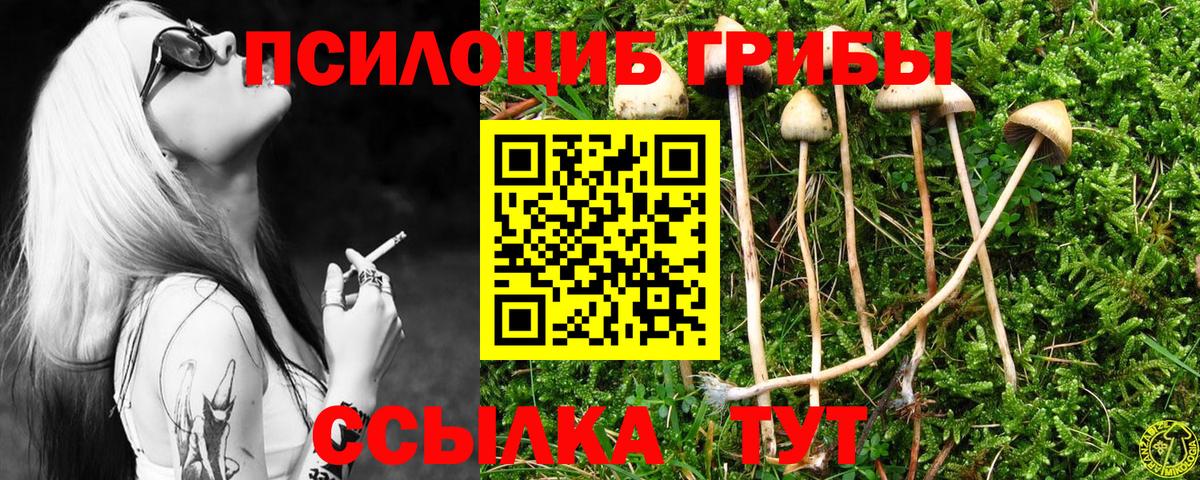 Псилоцибиновые грибы Cubensis Краснодар