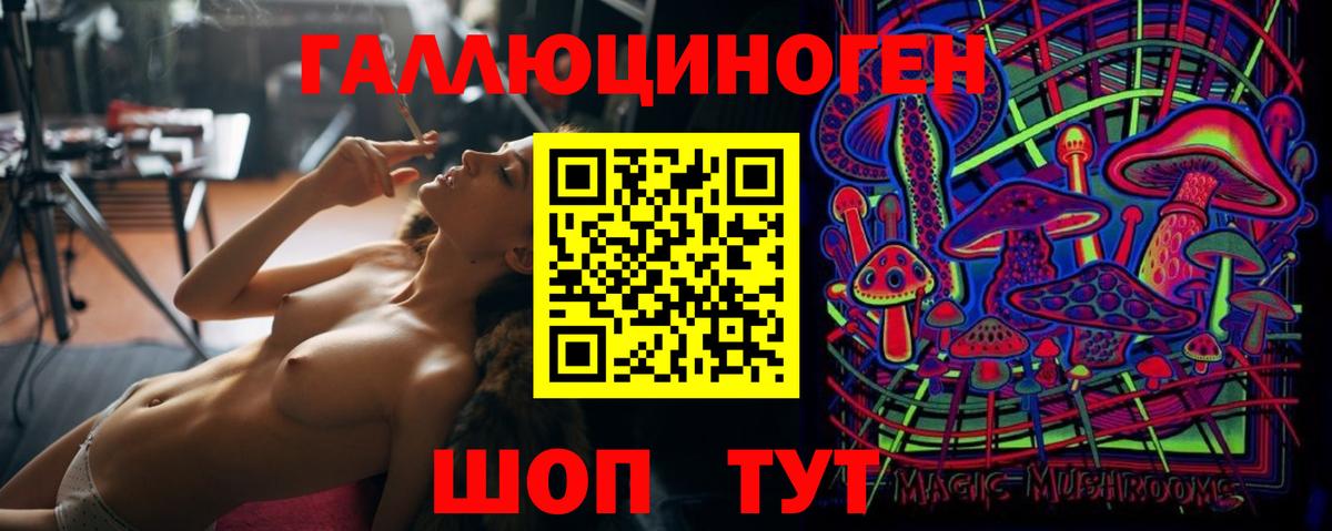 Псилоцибиновые грибы MAGIC MUSHROOMS  Вход с VPN  Краснодар  закладка  Псилоцибиновые грибы Psilocybe 